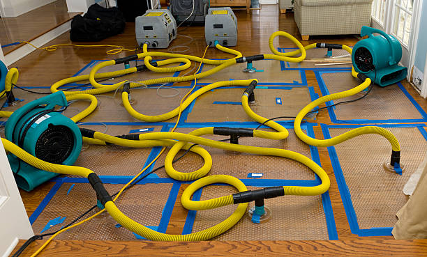 Professional Water Damage Restoration technician working in Pall Mall, TN